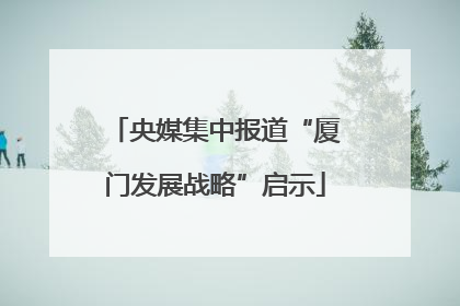 央媒集中报道“厦门发展战略”启示